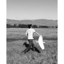 Load image into Gallery viewer, Alula-TREK kit, ARG w/servos and Rx Batt by Dreamflight