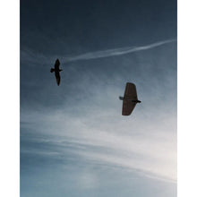 Load image into Gallery viewer, Weasel-TREK kit w/servos and Rx batt by Dreamflight